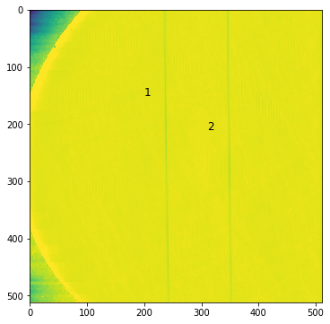 MNT-REF-2.5/PC-1UM artifact end face image taken with an AFM microscope